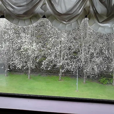 Bed & Breakfast Whitestream House *